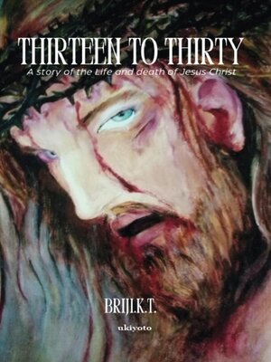 cover image of Thirteen to Thirty